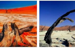 Namibia Fast Facts